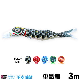 【1/18感謝デーP最大5倍】 こいのぼり 単品 鯉のぼり 羽衣錦鯉 3m 単品鯉