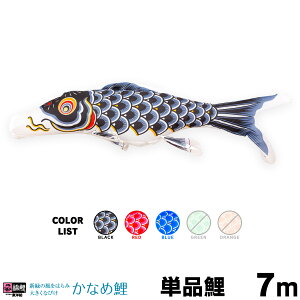 ̂ڂ Pi ̂ڂ Ȃߌ 7m Pi