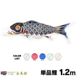 ̂ڂ Pi ̂ڂ  1.2m Pi