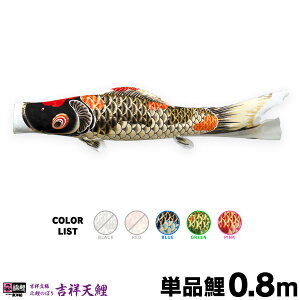 ̂ڂ Pi ̂ڂ g˓V 0.8m Pi