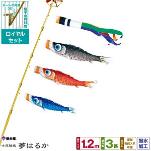 îڂ ͂邩 1.2m 6_Zbg x_pCZbg 2025Nߋ [߂̐ߋ ǂ̓ ̂ڂ