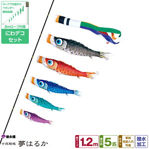 îڂ ͂邩 1.2m 8_Zbg ɂfRZbg 2026Nߋ [߂̐ߋ ǂ̓ ̂ڂ