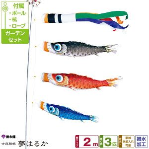 îڂ ͂邩 2m 6_Zbg K[fZbg 2026Nߋ [߂̐ߋ ǂ̓ ̂ڂ