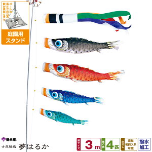 îڂ ͂邩 3m 7_Zbg 뉀pX^hZbg 2025Nߋ [߂̐ߋ ǂ̓ ̂ڂ