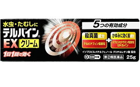 テルバインEXクリーム 25g【指定第2類医薬品】税制対象商品 定形外郵便 t