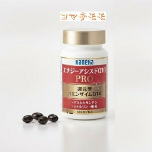 kaneka GiW[AVXgQ10 PRO 120JvZx2 iҌ^RGUCQ10EAX^LT`EVgj