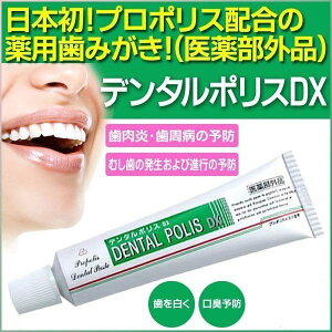 f^|XDX 80g y S̒ǐՔԍt zk @򕔊Oi