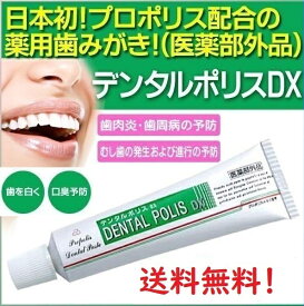 デンタルポリスDX 80gx2個セット 【 安心の追跡番号付き 】 歯磨き粉　医薬部外品 k