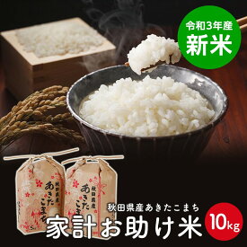 楽天市場 米 10kgの通販