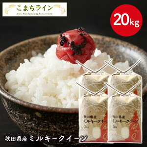 y~L[NC[  20kgzߘa7NY HcY ~L[NC[20kg 5kg×4 I   20kg ĂтԁyV铂hqzv[gt  Ă 