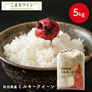 y~L[NC[  5kgzߘa7NY HcY ~L[NC[5kg I   5kg ĂтԁyV铂hqzv[gt  Ă 