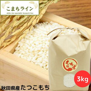 ā@HcY@@3kgĂтԁyV铂hqzv[gtʓrǉ