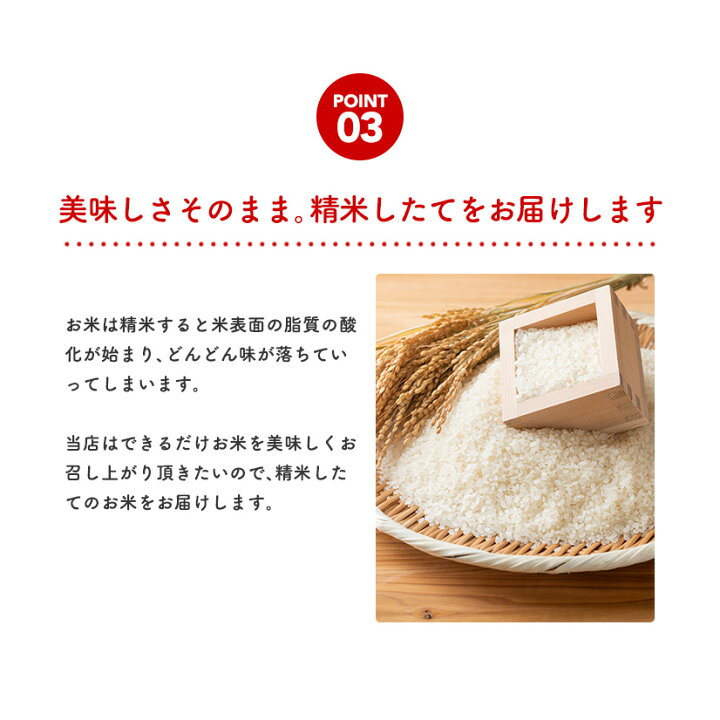 楽天市場】【最大100%ポイントバック！＆最大1,000円OFFクーポン  
