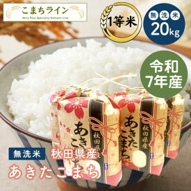 新米！【無洗米20kg】令和7年産　秋田県産　あきたこまち20kg （5kg×4袋）一等米　厳選されたおいしいお米米びつ当番【天鷹唐辛子】プレゼント付き贈り物※沖縄別途送料追加