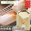 もち米 秋田県産 きぬのはだ 900g / 3kg / 30kg（精米後27kg）一等米 米びつ当番【天鷹唐辛子】プレゼント付き※沖縄…
