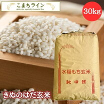楽天市場】もち米 玄米 30㎏の通販