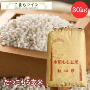 VāIߘa7NY@HcY@@ꓙā@30kg(Č27kg)ĂтԁyV铂hqzv[gtʓrǉ