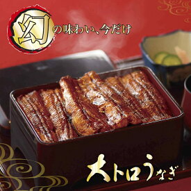 うなぎ 国産 鰻 ギフト セット 【幻の大トロうなぎ】 共水 プレゼント お取り寄せ グルメ 結婚記念日 内祝 国産 出産 結婚 内祝い 贈り物 誕生日 炭火焼 2人前 3人前 4人前 160g 2尾 3尾 4尾 送料無料 香典返し のし