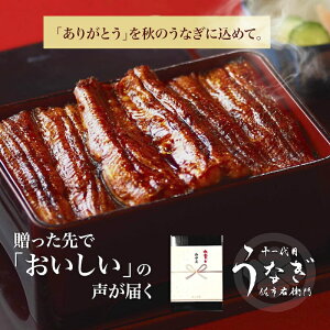 うなぎ 国産 ギフト 高級 2尾 2人前 160g×2尾 贈答 蒲焼き 炭火焼 完全無添加 内祝い 結婚内祝い 出産内祝
