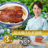 【夏のごちそう】うなぎ 国産 ご自宅用 炭火焼 完全無添加 蒲焼き 100g×3P お取り寄せ うな丼 夏バテ対…