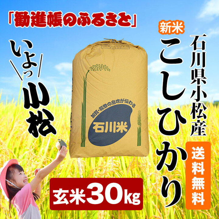 楽天市場】【令和7年産1等米】こしひかり玄米 30kg 【令和7年産 石川 