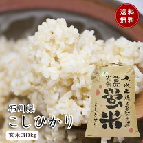 楽天市場】石川 コシヒカリ 玄米 30kgの通販