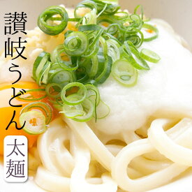 送料無料 超極太麺セット（半生 讃岐うどん ） 16人用 讃岐うどん 醤油つゆ付き【楽ギフ_包装】