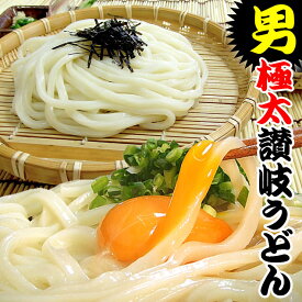 送料無料 うどん 蘇る・・ガツンとくる男！極太麺14人前セット 讃岐うどん 【楽ギフ_のし】お中元 お歳暮 母の日 父の日 におすすめ！