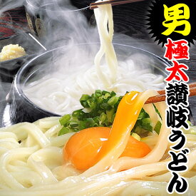 送料無料 うどん 蘇る・・ガツンとくる男！極太麺14人前セット 讃岐うどん 【楽ギフ_のし】お中元 お歳暮 母の日 父の日 におすすめ！