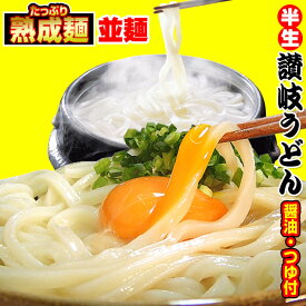 20時間熟成 半生 並 讃岐うどん つゆ付きセット 便利な個包装 750g 送料無料 最安値挑戦 お取り寄せ お試し