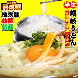 20時間熟成 半生 讃岐うどん 3種麺 つゆ付きセット 極太麺 並麺 細麺 750g 送料無料 最安値挑戦 お取り寄せ お試し★★