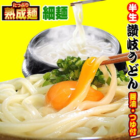 ★20時間熟成 半生 細 讃岐うどん つゆ付きセット 便利な個包装 750g 送料無料 最安値挑戦 お取り寄せ お試し