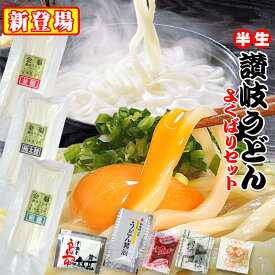 20時間熟成 半生 讃岐うどん 3種（極太・並・細） 750g つゆ付 欲張りセット 最安値挑戦 特産品 ポイント利用 お試し商品 サンプル