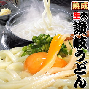 讃岐 熟成 ちょい生太 うどん 7.5食 便利な個包装 250g×3袋 750g 送料無料 最安値挑戦 お取り寄せ お試し 【1000円ポッキリ】