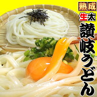 讃岐 熟成 ちょい生太 うどん 6食 便利な個包装 200g×3袋 600g 送料無料 最安値挑戦 お取り寄せ お試し …