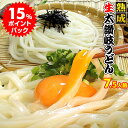 讃岐 熟成 ちょい生太 うどん 7.5食 便利な個包装 250g×3袋 750g 送料無料 最安値挑戦 お取り寄せ お試し 【1000円ポッキリ】