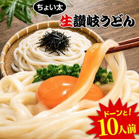 ＼新発売／ 讃岐 熟成 ちょい生太 うどん 10食 「今なら、薬味3種がタダでもらえる」 便利な個包装 200g×5袋 1kg 送料無料 最安値挑戦 お取り寄せ お試し