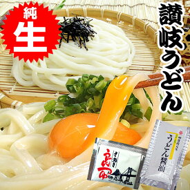 ひと目惚れするほど、旨すぎる 醤油・つゆ付 金福 讃岐うどん 送料無料 ネコポス 並切麺 香川県 グルメ お取り寄せ ポイント消化