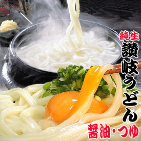 激ウマ 純生 讃岐うどん ドーンと4食 便利な個包装 250g×2袋 500g 醤油 つゆ付 送料無料 最安値挑戦 特産品 訳あり