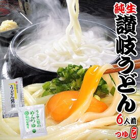激ウマ 純生 讃岐 うどん ドーンと6食 便利な個包装 300g×2袋 600g 醤油 つゆ プレゼント 送料無料 最安値挑戦 ★★
