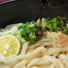 釜玉＆大根おろし 醤油うどん半生 讃岐うどん Aセット 【楽ギフ_包装】【RCP】