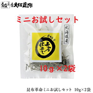  |Xg zv ~jZbg 10g×2 qt kCY z z z Ysgp Y yzv~jZbg10g×2܁z