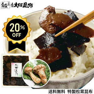 Ԍ20IԂXCX z160g kCYVR^zgp  zώ т̂ ɂ  ܂