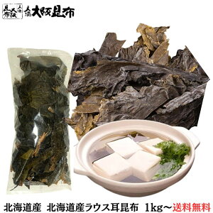  Ɩp kCYEXz 1kg z z i  z