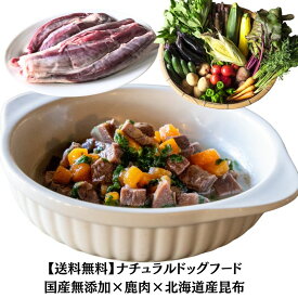 【店内全品5％OFFクーポン＆P5倍 11/16迄】 【送料無料】国産無添加ナチュラルドッグフード 鹿肉×北海道産昆布 160g×10P 人間食基準の国産食材使用 常温保存 ウェットタイプ ケア別5レシピ（スタンダード／目耳ケア／皮膚ケア／関節ケア／胃腸ケア）