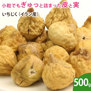  CY 500g Y sgp hCt[c C`WN