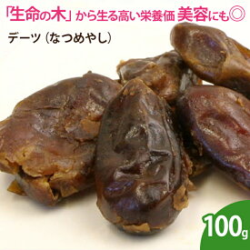 デーツ（なつめやし） 100g ドライフルーツ 無添加 砂糖不使用