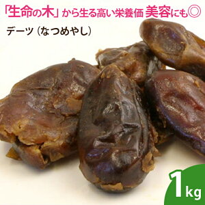 デーツ(なつめやし) 1kg ドライフルーツ 無添加 砂糖不使用