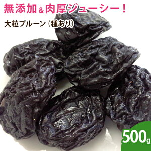 嗱v[i킠j 500g hCt[c Y sgp