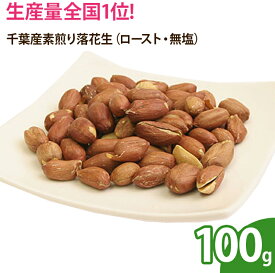 千葉産素煎り落花生（ロースト・無塩） 100g　ピーナッツ